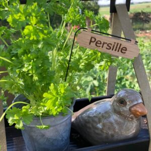 Skilt til krydderurter